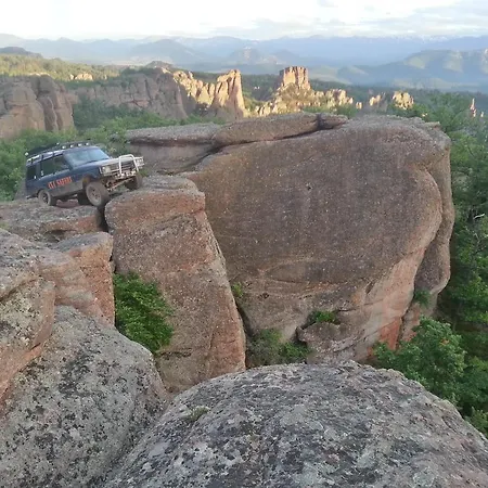 Zora Belogradchik