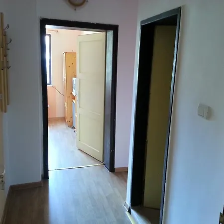 Zora Belogradchik